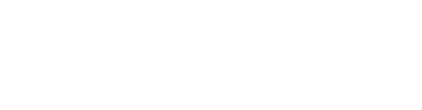 Dataliva logo